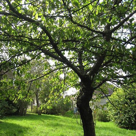 Maison Avec Grand Jardin Pour 15 Couchages En Normandie Cairon Oda fotoğraf