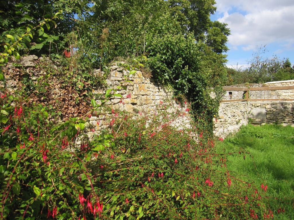 Maison Avec Grand Jardin Pour 15 Couchages En Normandie Cairon Oda fotoğraf