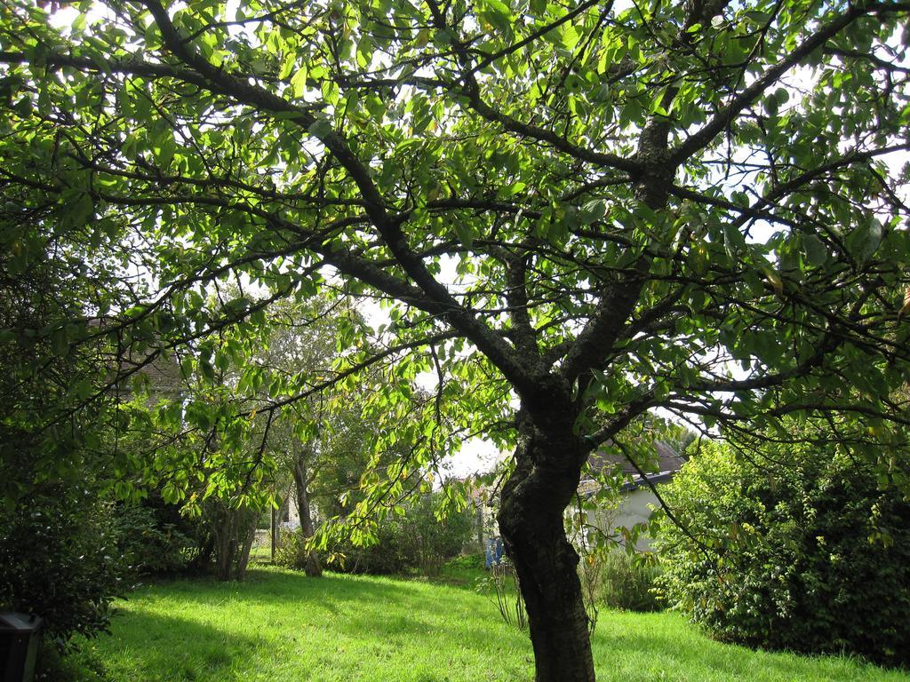 Maison Avec Grand Jardin Pour 15 Couchages En Normandie Cairon Oda fotoğraf